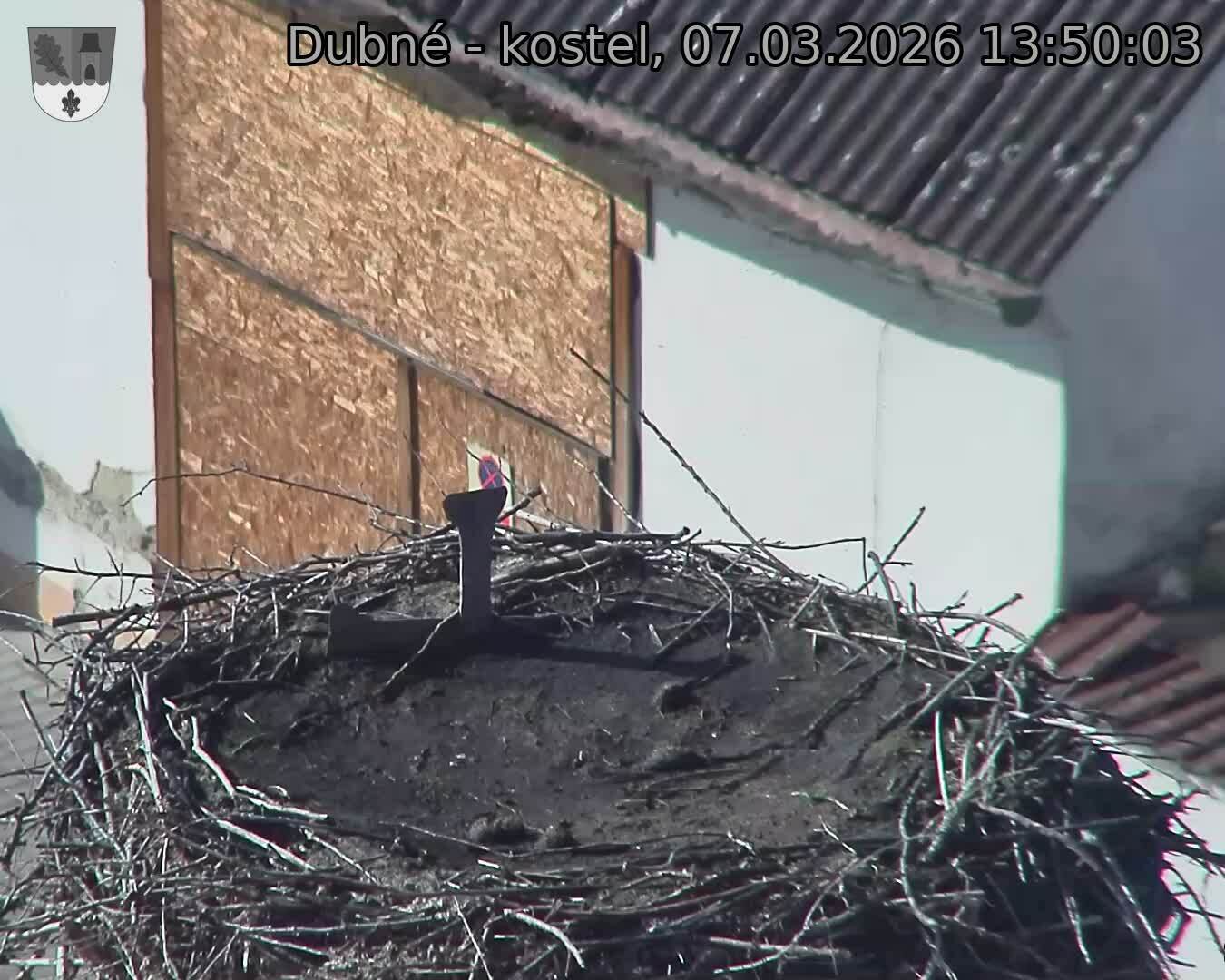 Capi_Dubne_20260307_135003.jpg (1350&nbsp;x&nbsp;1080)