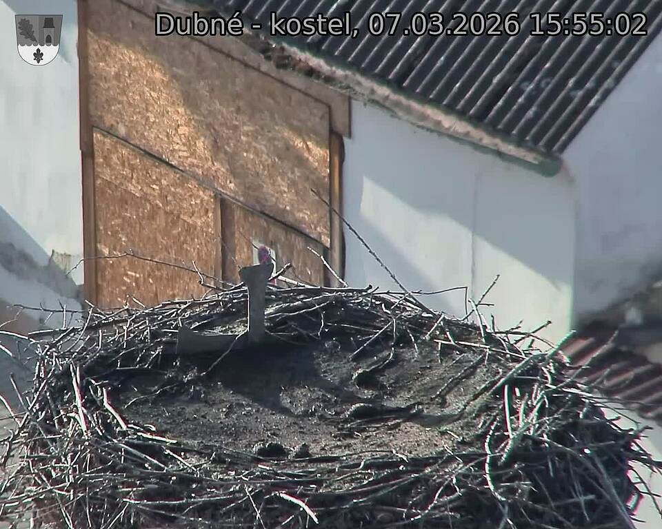 Capi_Dubne_20260307_155502.jpg (1350&nbsp;x&nbsp;1080)