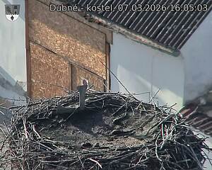 Capi_Dubne_20260307_160503.jpg (1350&nbsp;x&nbsp;1080)