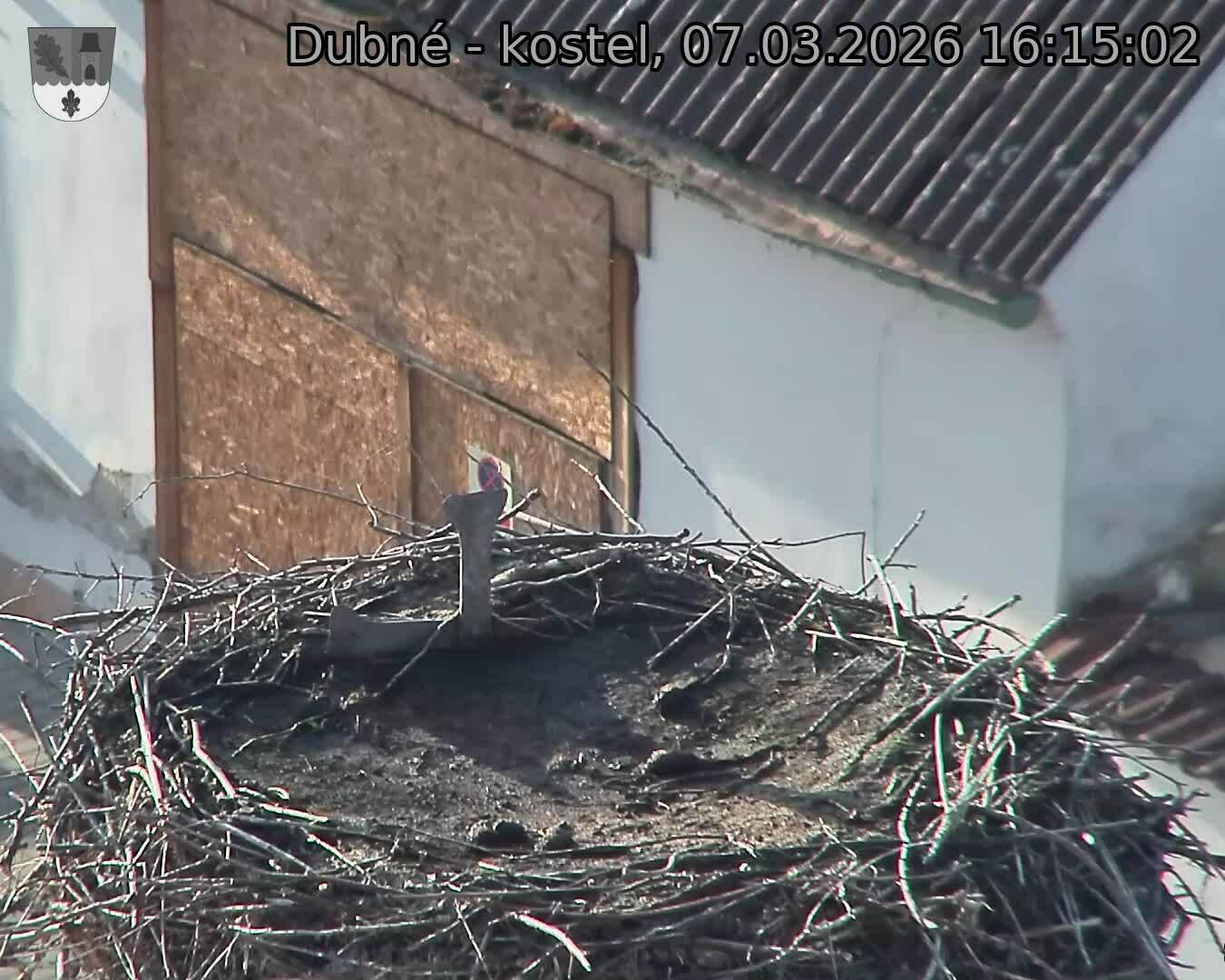 Capi_Dubne_20260307_161502.jpg (1350&nbsp;x&nbsp;1080)
