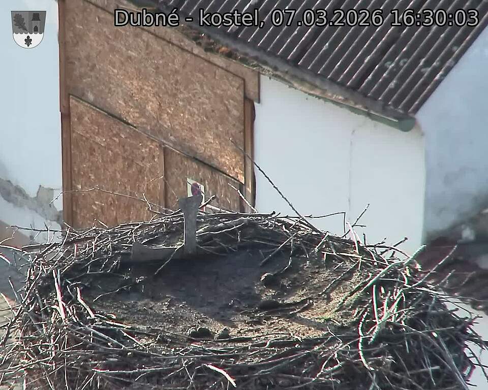 Capi_Dubne_20260307_163003.jpg (1350&nbsp;x&nbsp;1080)