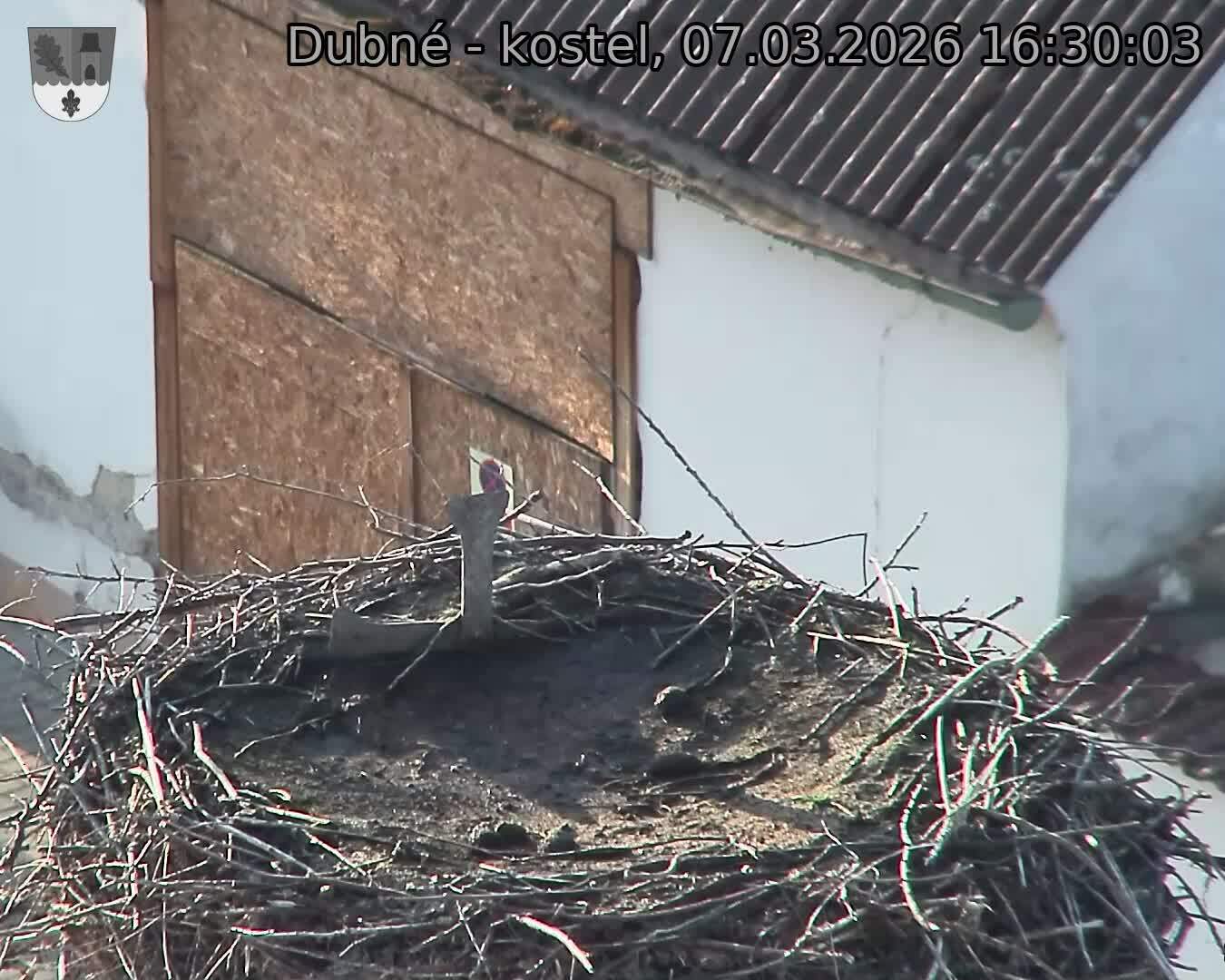 Capi_Dubne_20260307_163003.jpg (1350&nbsp;x&nbsp;1080)