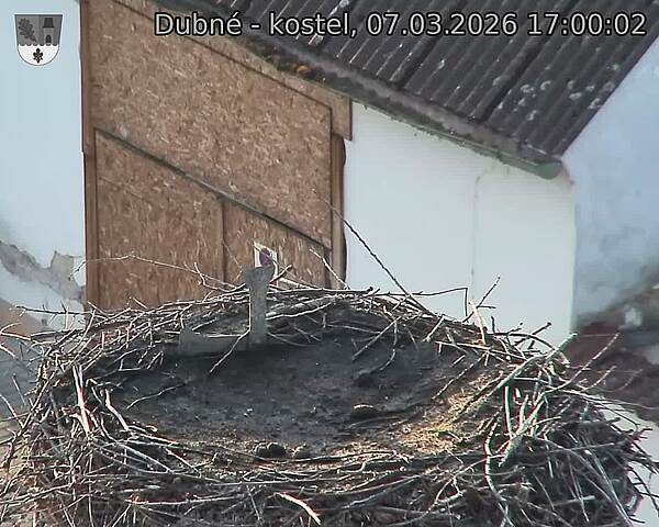 Capi_Dubne_20260307_170002.jpg (1350&nbsp;x&nbsp;1080)