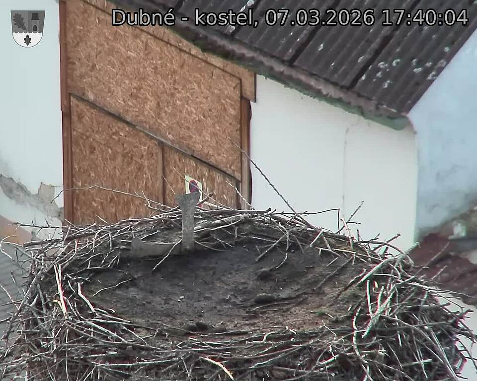 Capi_Dubne_20260307_174004.jpg (1350&nbsp;x&nbsp;1080)