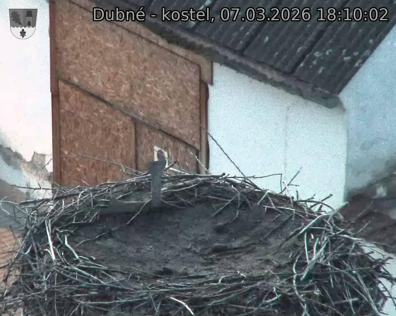 Capi_Dubne_20260307_181002.jpg (1350&nbsp;x&nbsp;1080)