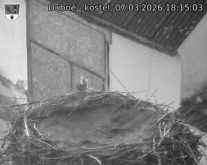 Capi_Dubne_20260307_181503.jpg (1350&nbsp;x&nbsp;1080)