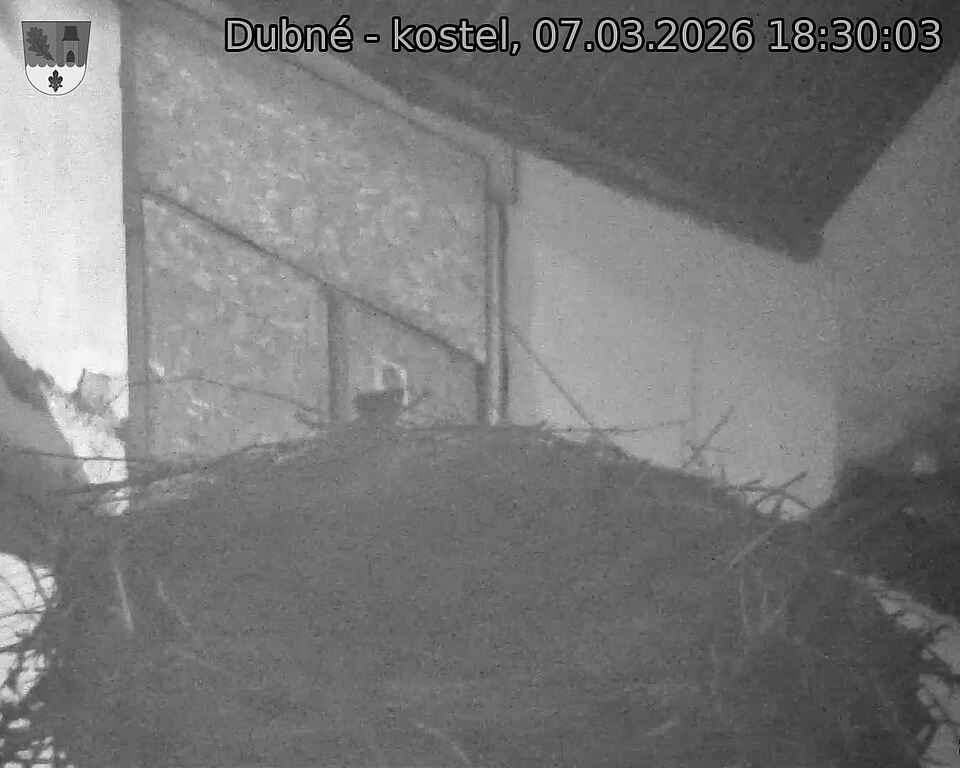 Capi_Dubne_20260307_183003.jpg (1350&nbsp;x&nbsp;1080)