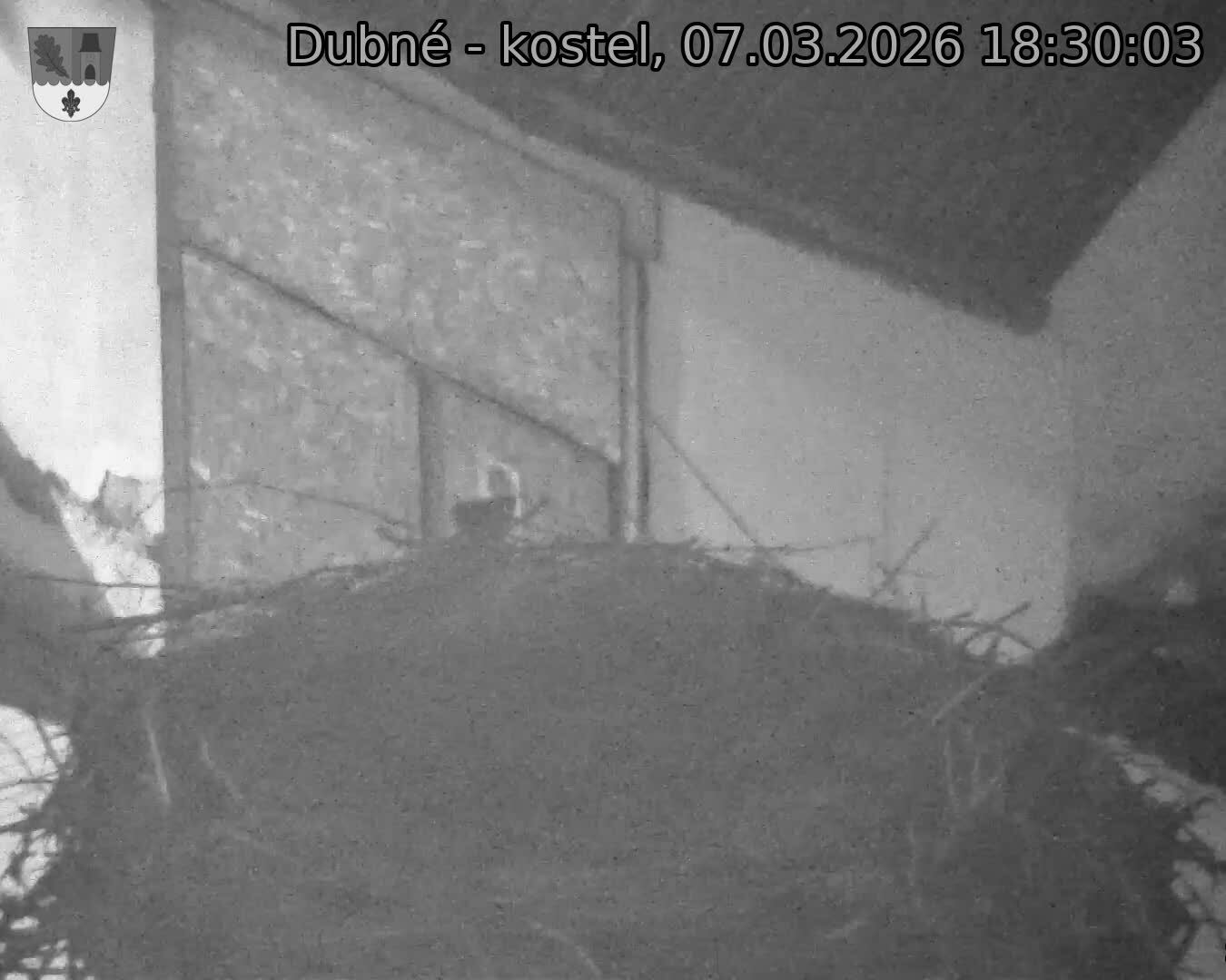 Capi_Dubne_20260307_183003.jpg (1350&nbsp;x&nbsp;1080)