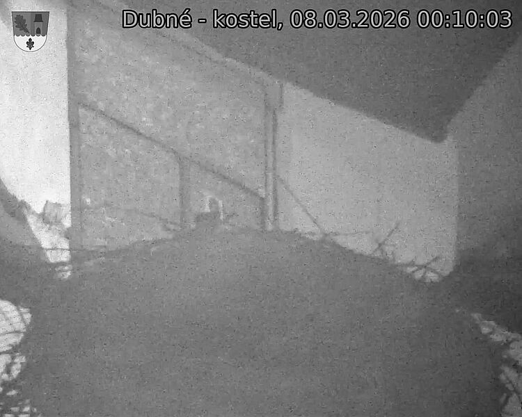 Capi_Dubne_20260308_001003.jpg (1350&nbsp;x&nbsp;1080)