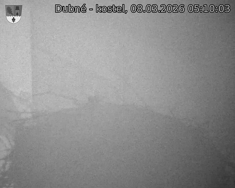 Capi_Dubne_20260308_051003.jpg (1350&nbsp;x&nbsp;1080)