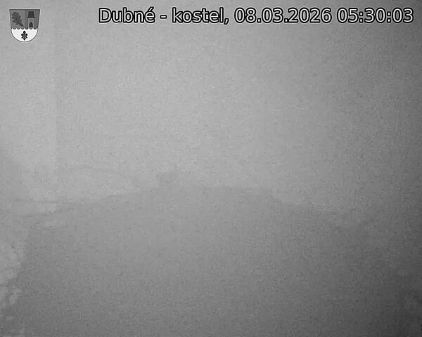 Capi_Dubne_20260308_053003.jpg (1350&nbsp;x&nbsp;1080)