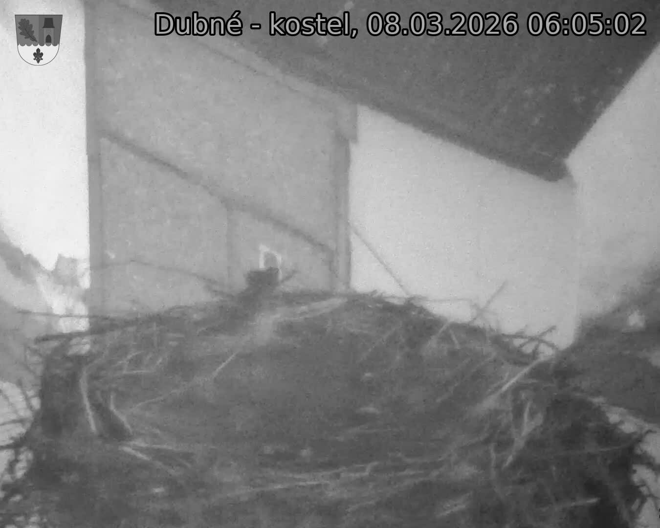 Capi_Dubne_20260308_060502.jpg (1350&nbsp;x&nbsp;1080)