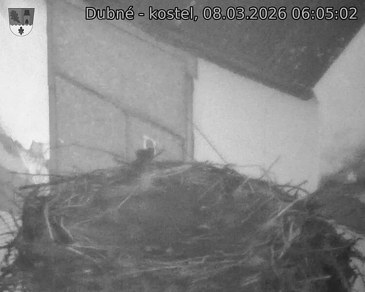 Capi_Dubne_20260308_060502.jpg (1350&nbsp;x&nbsp;1080)