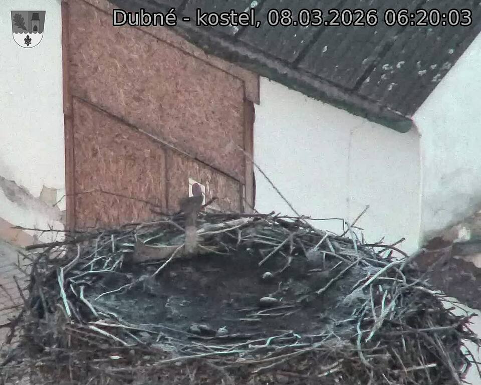 Capi_Dubne_20260308_062003.jpg (1350&nbsp;x&nbsp;1080)