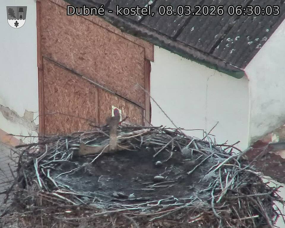 Capi_Dubne_20260308_063003.jpg (1350&nbsp;x&nbsp;1080)