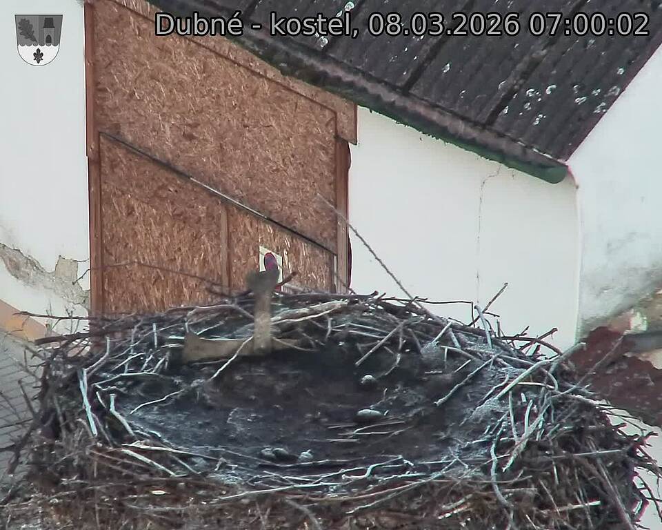 Capi_Dubne_20260308_070002.jpg (1350&nbsp;x&nbsp;1080)