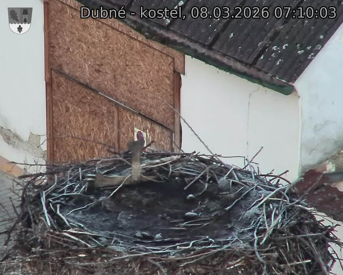 Capi_Dubne_20260308_071003.jpg (1350&nbsp;x&nbsp;1080)