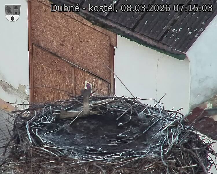 Capi_Dubne_20260308_071503.jpg (1350&nbsp;x&nbsp;1080)
