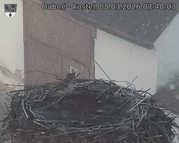 Capi_Dubne_20260308_074003.jpg (1350&nbsp;x&nbsp;1080)