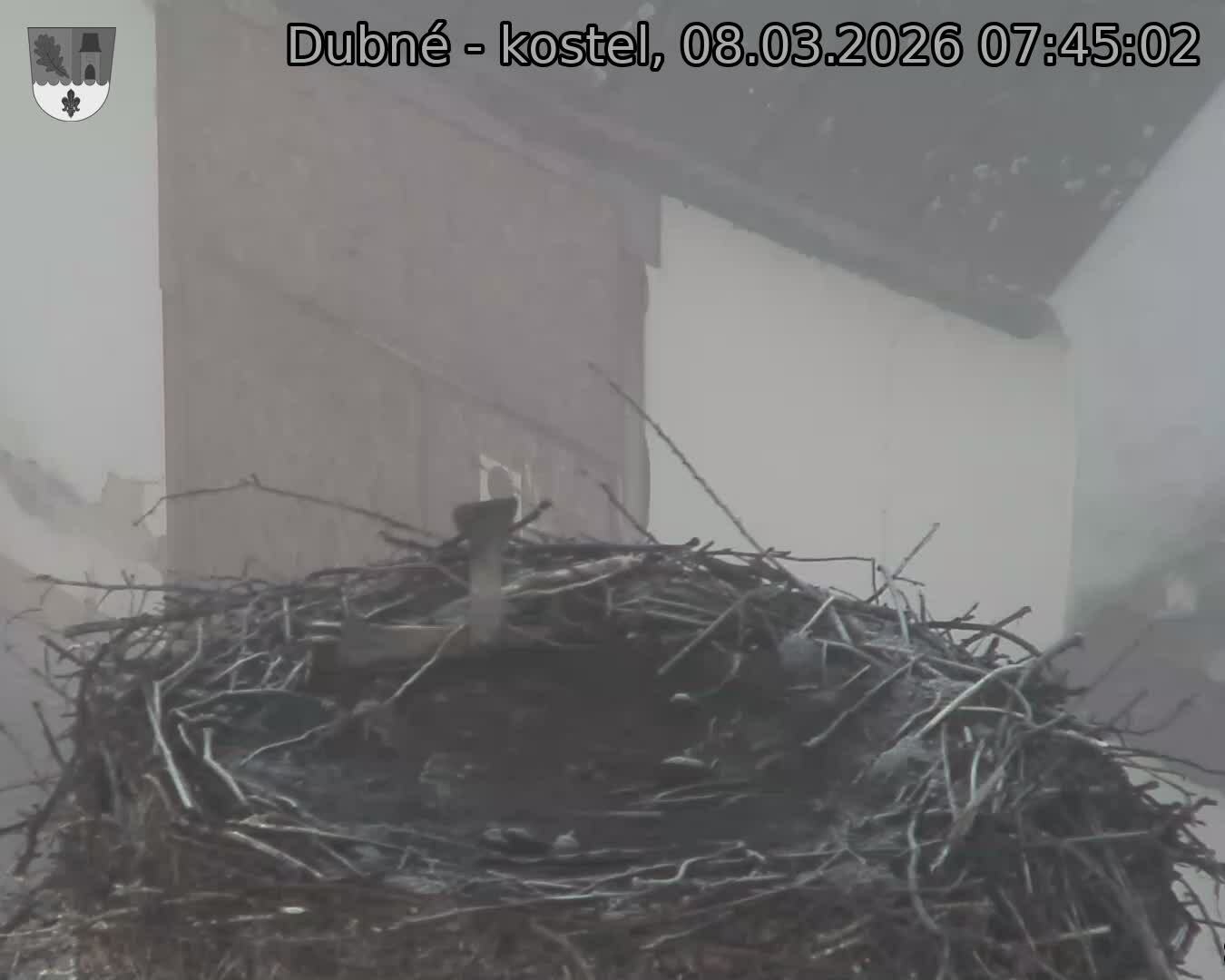 Capi_Dubne_20260308_074502.jpg (1350&nbsp;x&nbsp;1080)
