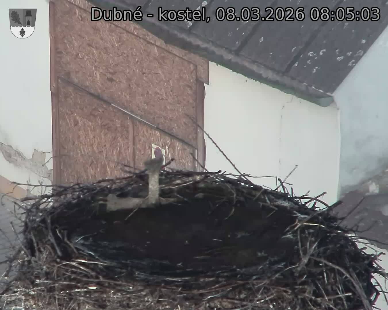 Capi_Dubne_20260308_080503.jpg (1350&nbsp;x&nbsp;1080)
