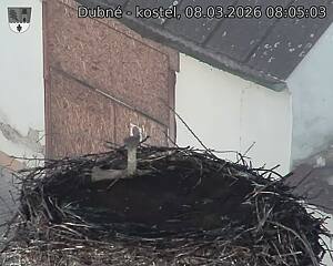 Capi_Dubne_20260308_080503.jpg (1350&nbsp;x&nbsp;1080)