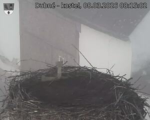 Capi_Dubne_20260308_081502.jpg (1350&nbsp;x&nbsp;1080)