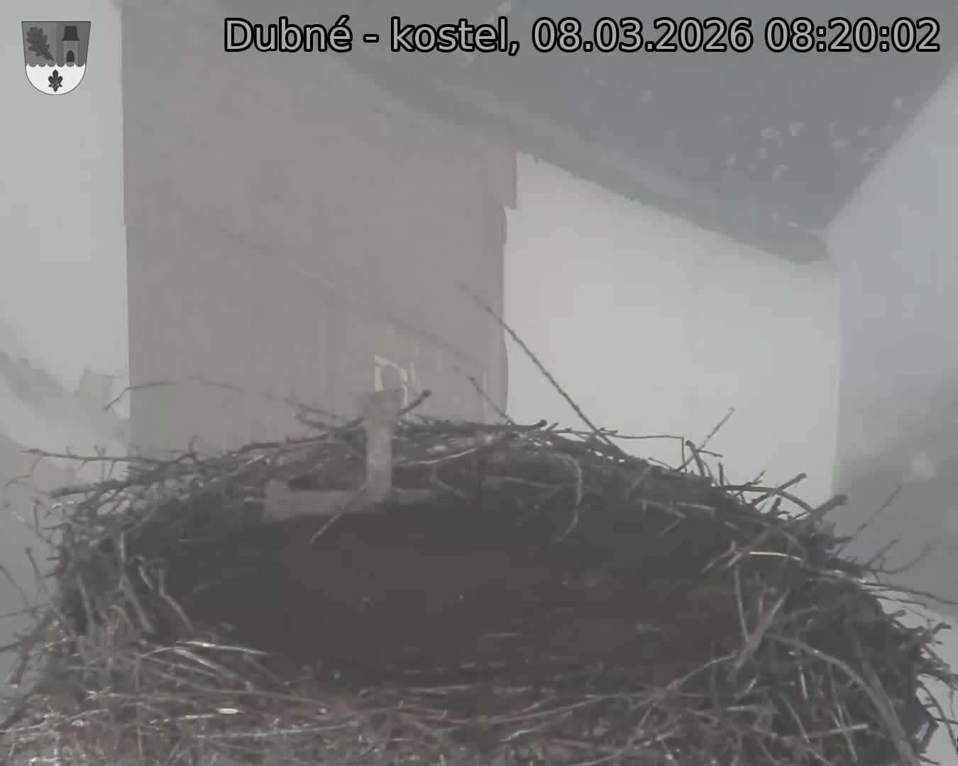 Capi_Dubne_20260308_082002.jpg (1350&nbsp;x&nbsp;1080)