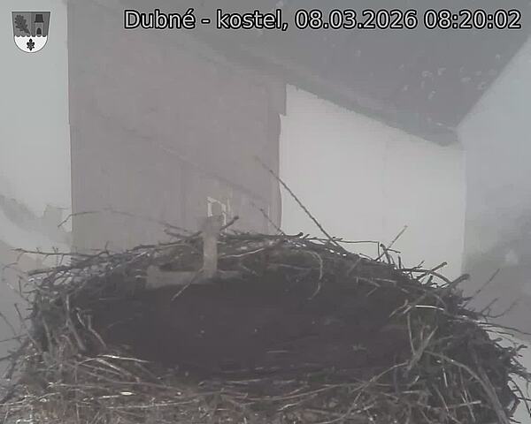 Capi_Dubne_20260308_082002.jpg (1350&nbsp;x&nbsp;1080)
