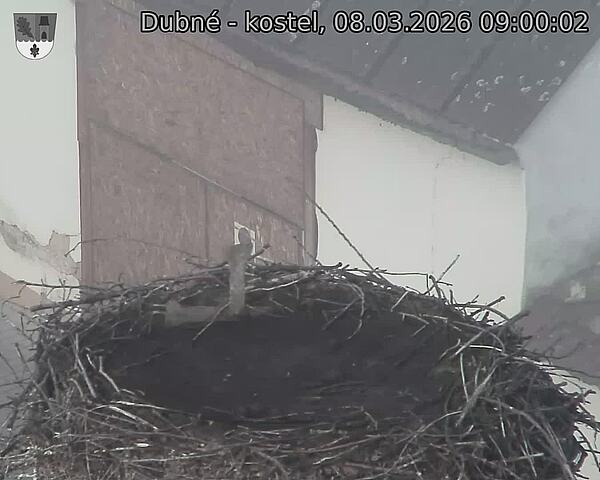 Capi_Dubne_20260308_090002.jpg (1350&nbsp;x&nbsp;1080)