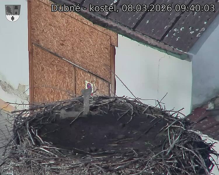 Capi_Dubne_20260308_094003.jpg (1350&nbsp;x&nbsp;1080)