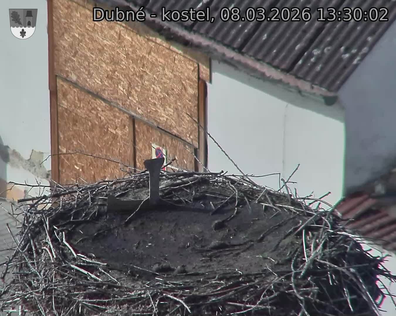 Capi_Dubne_20260308_133002.jpg (1350&nbsp;x&nbsp;1080)