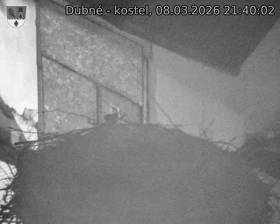Capi_Dubne_20260308_214002.jpg (1350&nbsp;x&nbsp;1080)