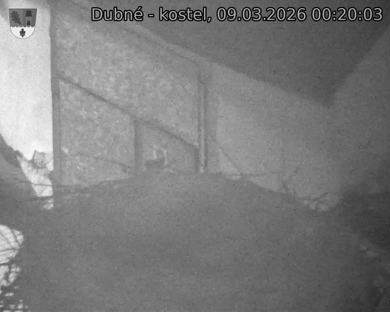 Capi_Dubne_20260309_002003.jpg (1350&nbsp;x&nbsp;1080)