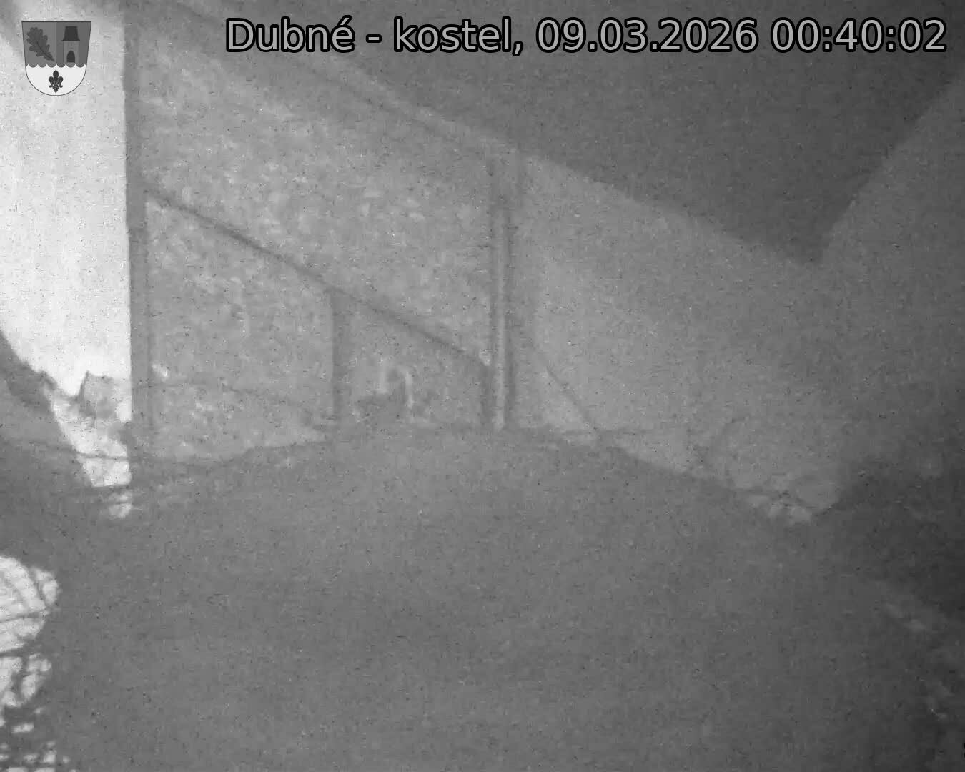 Capi_Dubne_20260309_004002.jpg (1350&nbsp;x&nbsp;1080)