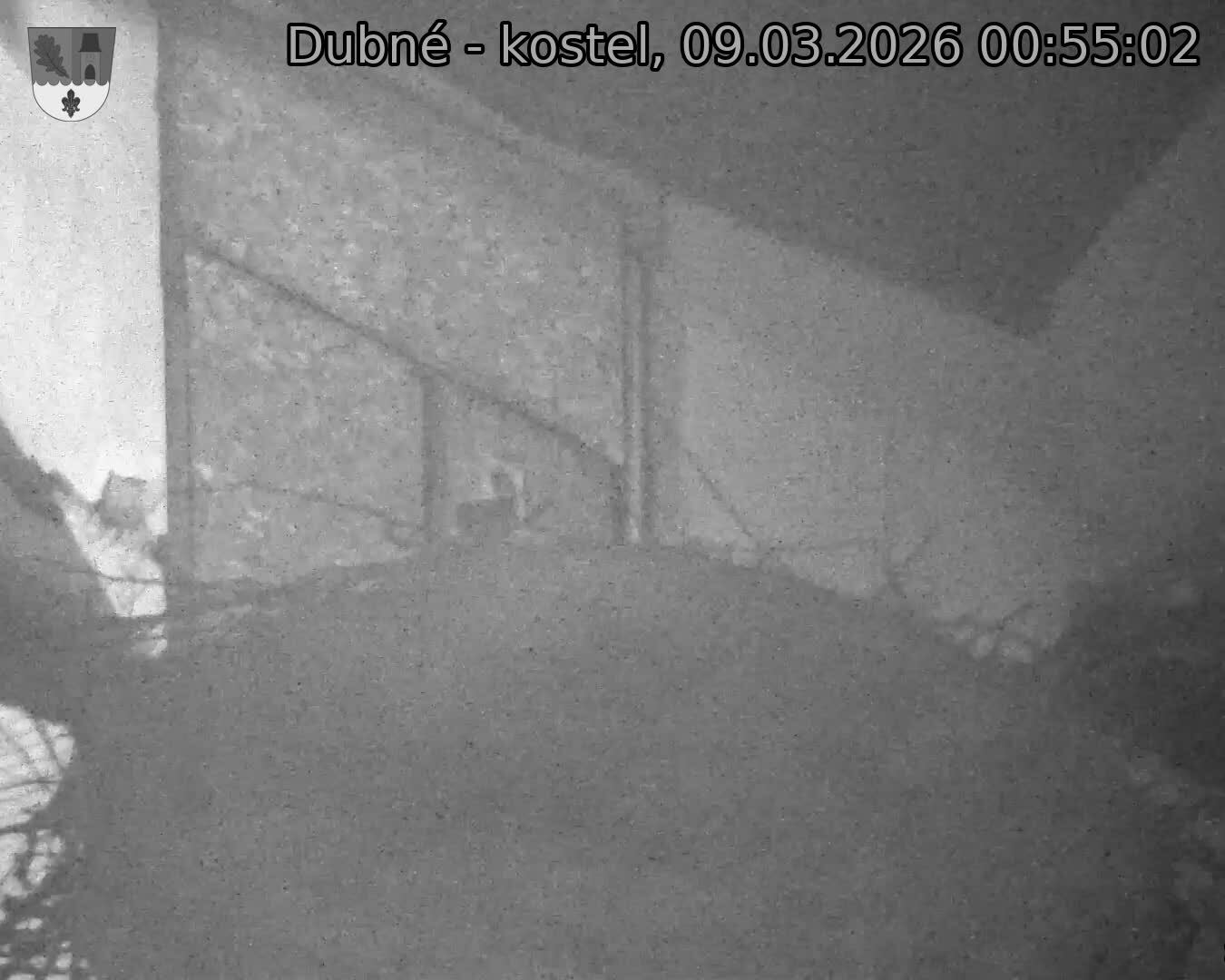 Capi_Dubne_20260309_005503.jpg (1350&nbsp;x&nbsp;1080)