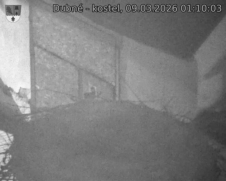Capi_Dubne_20260309_011003.jpg (1350&nbsp;x&nbsp;1080)