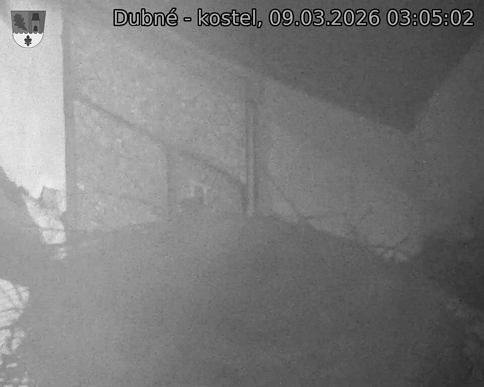 Capi_Dubne_20260309_030502.jpg (1350&nbsp;x&nbsp;1080)