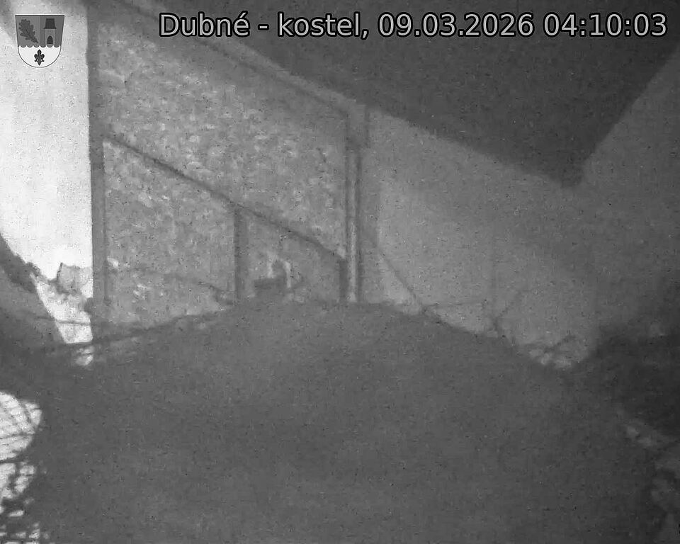 Capi_Dubne_20260309_041003.jpg (1350&nbsp;x&nbsp;1080)