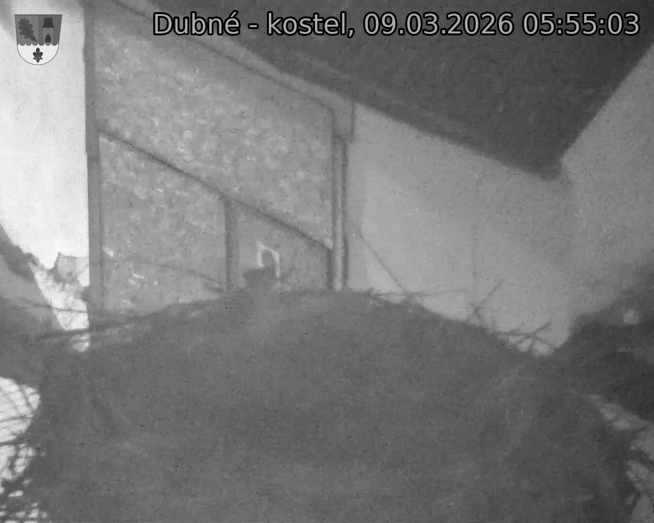 Capi_Dubne_20260309_055503.jpg (1350&nbsp;x&nbsp;1080)