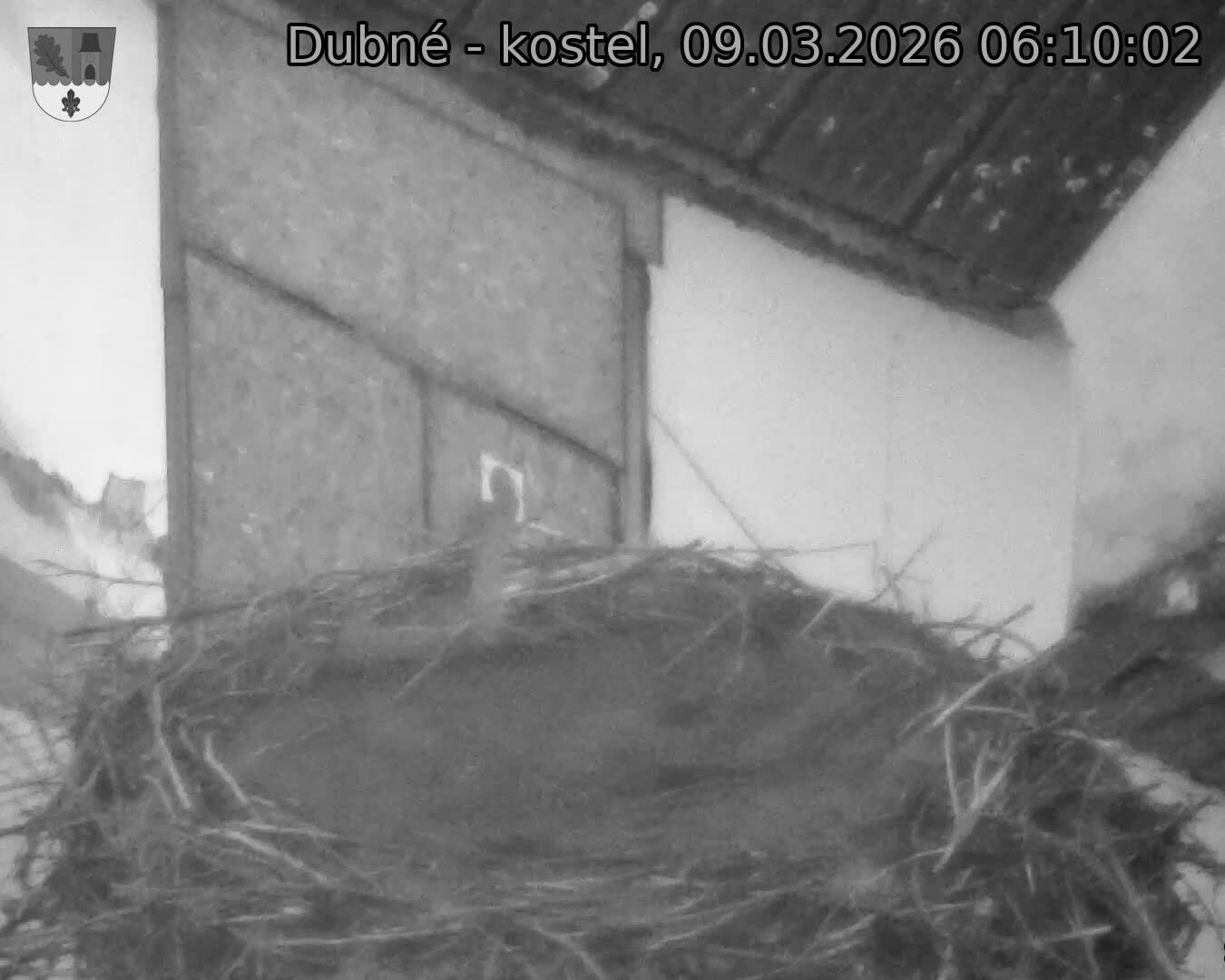Capi_Dubne_20260309_061002.jpg (1350&nbsp;x&nbsp;1080)