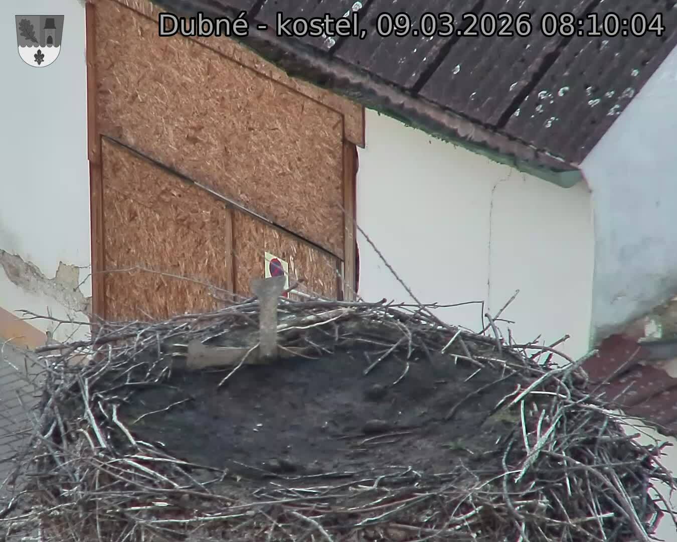 Capi_Dubne_20260309_081004.jpg (1350&nbsp;x&nbsp;1080)