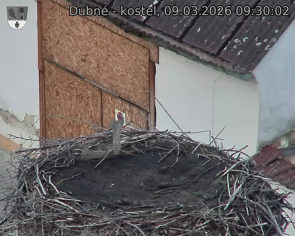 Capi_Dubne_20260309_093002.jpg (1350&nbsp;x&nbsp;1080)