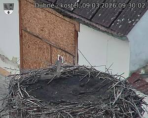 Capi_Dubne_20260309_093002.jpg (1350&nbsp;x&nbsp;1080)