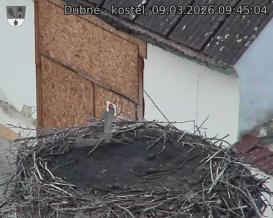 Capi_Dubne_20260309_094504.jpg (1350&nbsp;x&nbsp;1080)