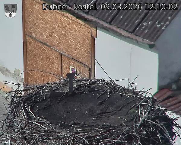 Capi_Dubne_20260309_121002.jpg (1350&nbsp;x&nbsp;1080)