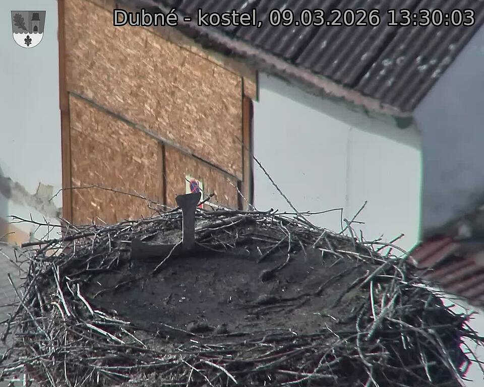 Capi_Dubne_20260309_133003.jpg (1350&nbsp;x&nbsp;1080)