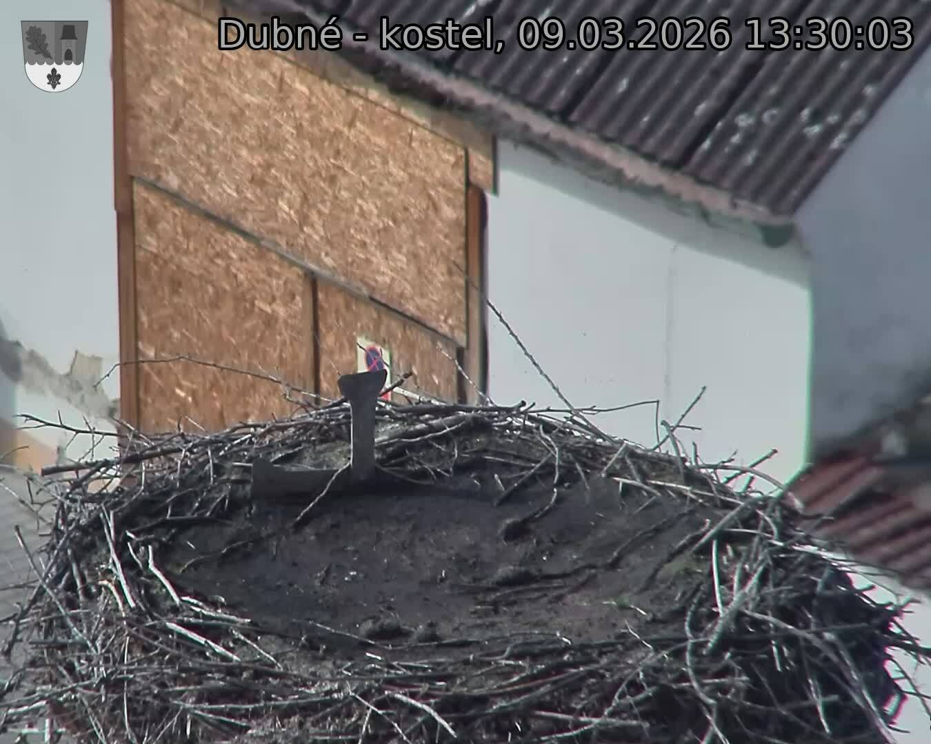 Capi_Dubne_20260309_133003.jpg (1350&nbsp;x&nbsp;1080)