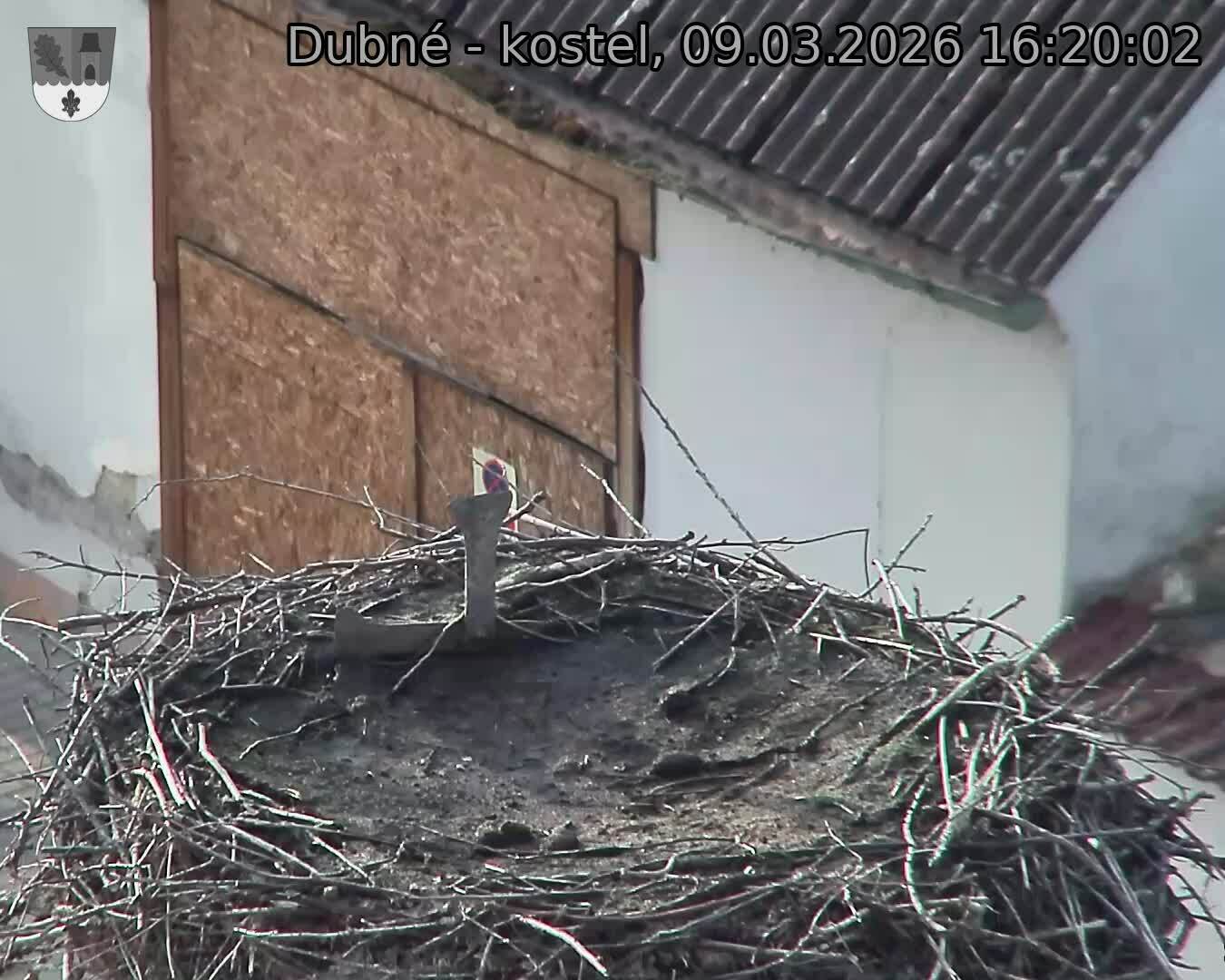 Capi_Dubne_20260309_162002.jpg (1350&nbsp;x&nbsp;1080)