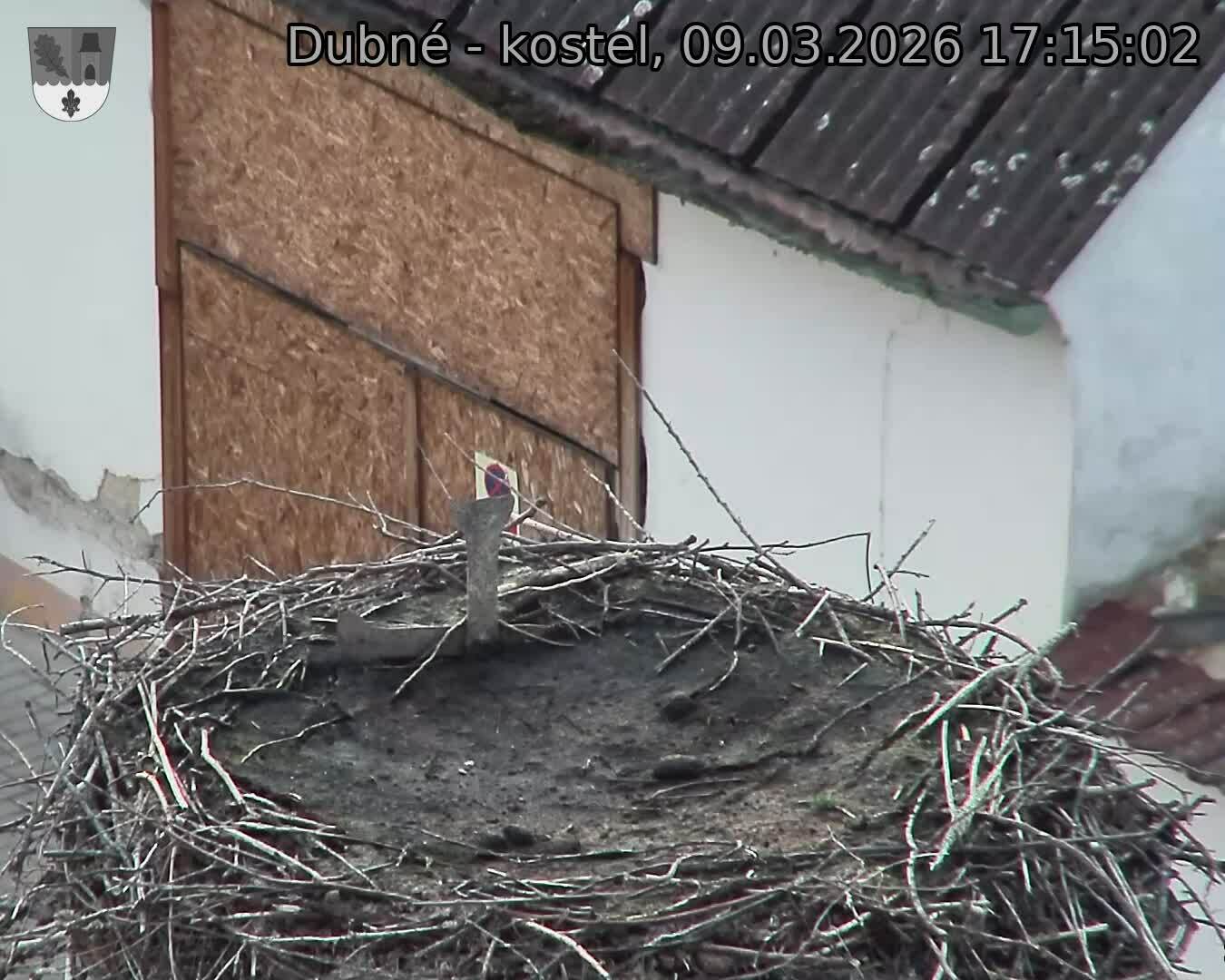Capi_Dubne_20260309_171502.jpg (1350&nbsp;x&nbsp;1080)